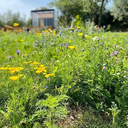 Campeggio Au Style Scandinave Et Son Bain Nordique